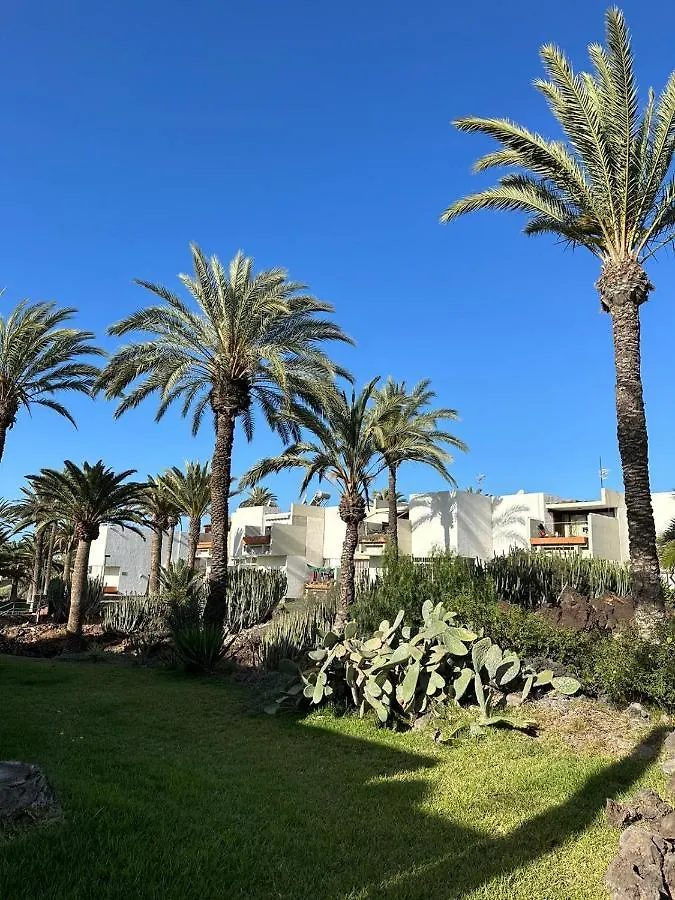 Pool View Apartment Primavera Arona  Arona (Tenerife)